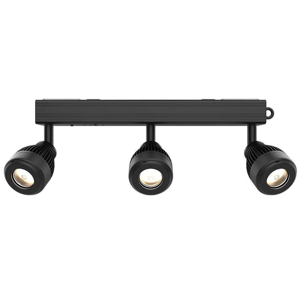 Chauvet DJ Battery Powered LED Accent Light with 3 x LED Spots