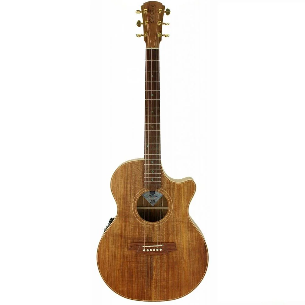 Cole Clark TL2EC-BLBL Thinline Acoustic Electric Guitar w/ Cutaway inc Case