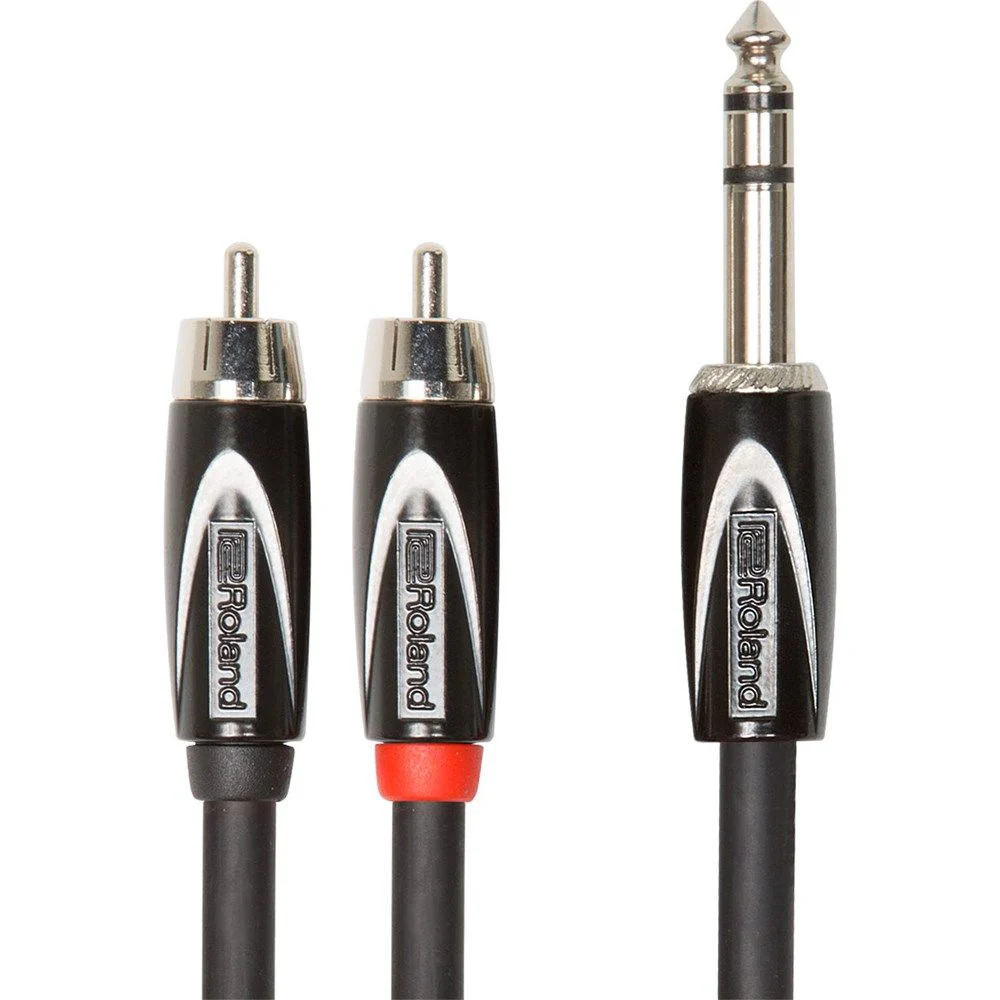 Roland RCC-10-TR2RV2 TRS to 2RCA (10ft) Cable