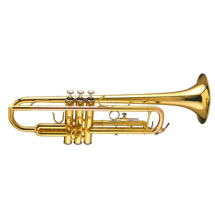 Schagerl 655 Intermediate Bb Trumpet Gold-brass Leadpip Yellow Brass Bell