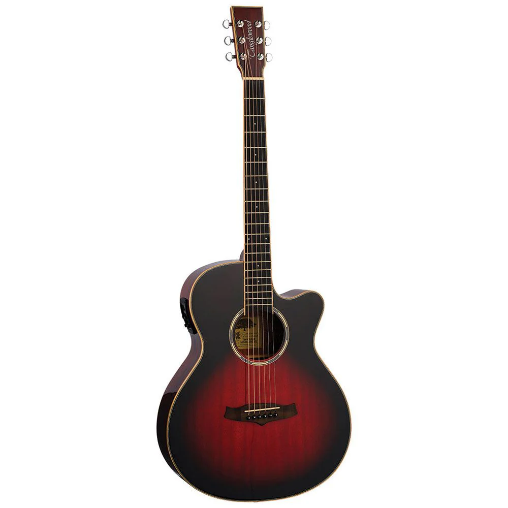 Tanglewood Winterleaf Pro Super Folk Acoustic Guitar (Antique Vintage Burst)