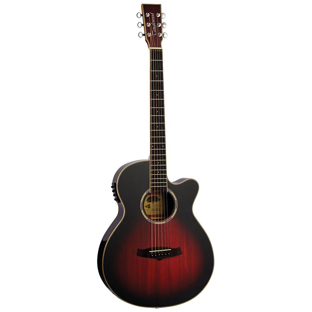 Tanglewood Winterleaf Pro Thinline Super Folk Acoustic Guitar (Antique Vintage Burst)