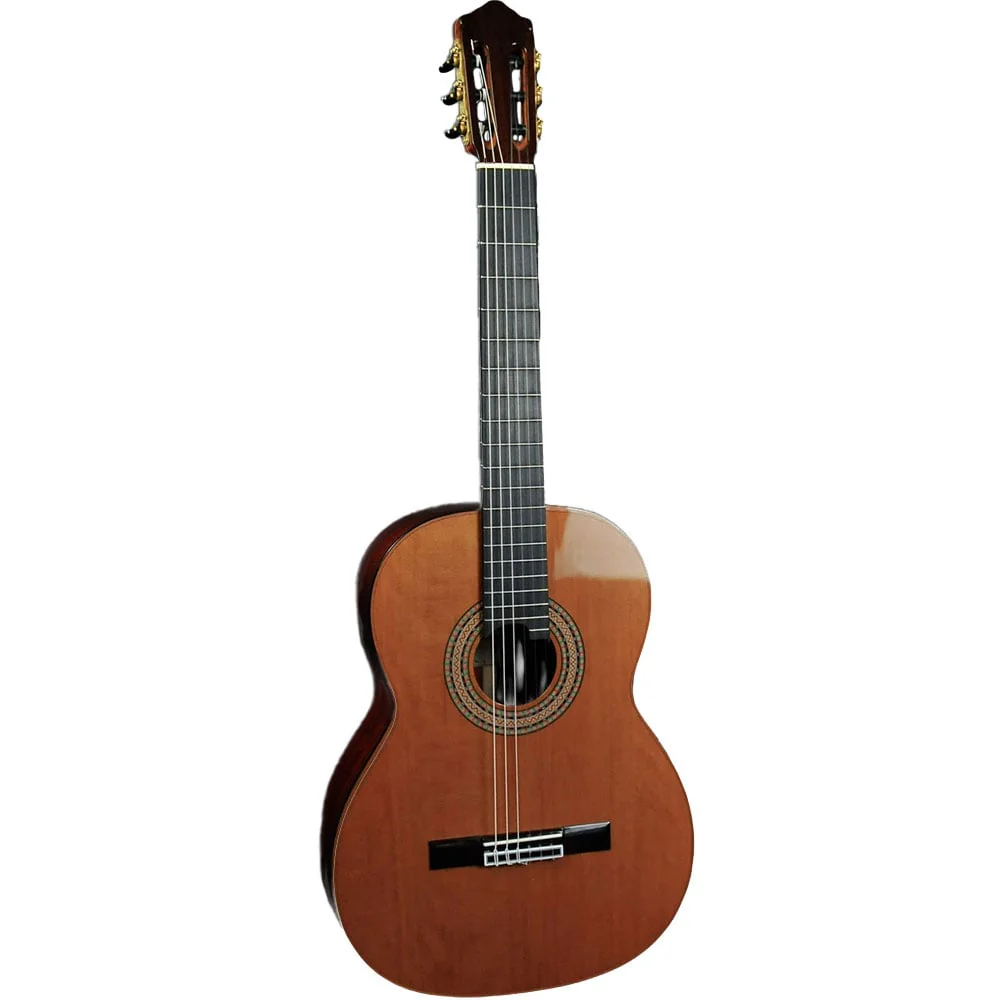 Wolfgang Jellinghaus Milestones of Music Anna G/P Cedar Top w/ Case