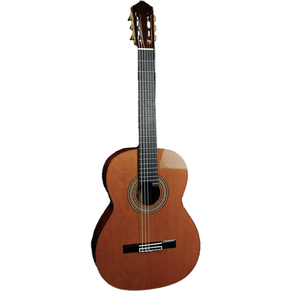 Wolfgang Jellinghaus Milestones of Music Anna G/P Spruce Top w/ Case