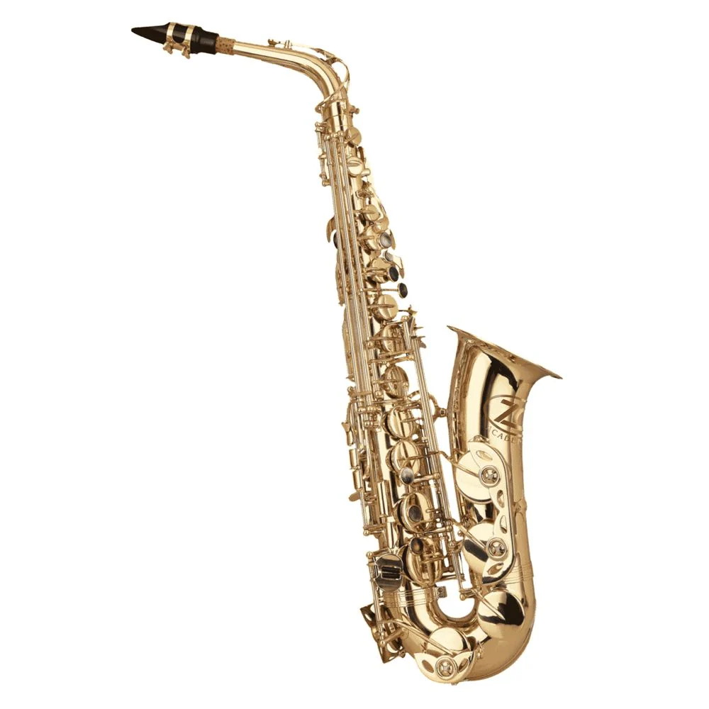 ZO Academy Eb Alto Saxophone w/ High F# Key inc Case - Lacquered Finish